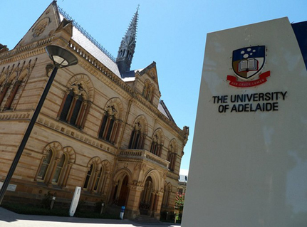 阿德雷德大学the university of adelaide